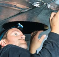 mold in air conditioner